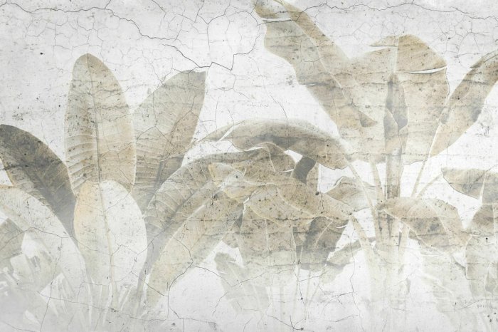 Fototapete Palmblätter an einer Betonmauer