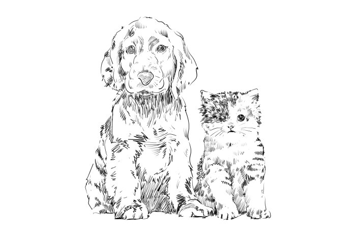 Fototapete Skizzenzeichnung eines Hundes und einer Katze