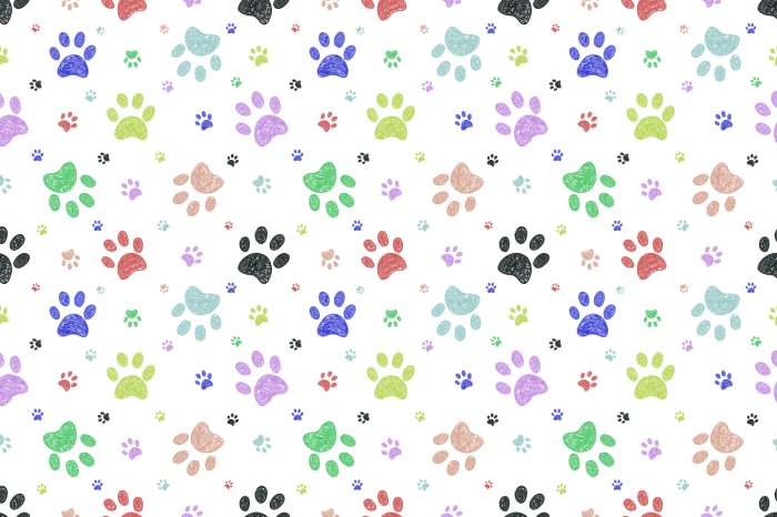 Fototapete Bunte Hunde Pfoten