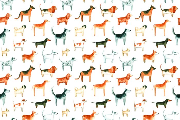 Fototapete Rassehunde auf weißem Hintergrund