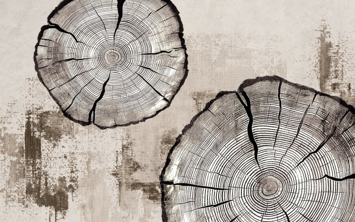Fototapete Baumstammscheiben auf beiger Textur