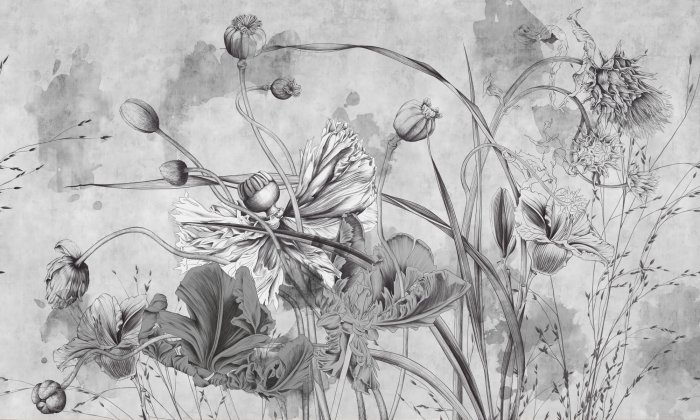 Fototapete Wildblumen in Monochromen Farbtönen