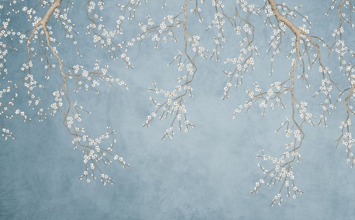 Fototapete Zarte Kirschblüten vor blauem Hintergrund