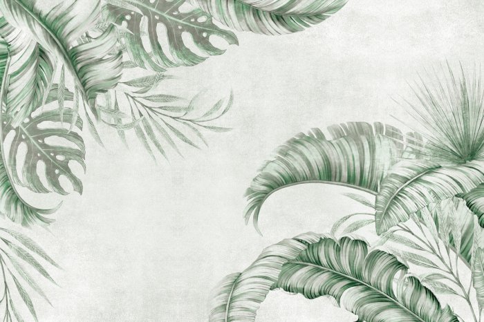 Fototapete Grüne Palmen- und Monsterablätter