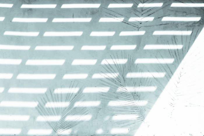 Fototapete Reflexion von Palmen auf weißem Hintergrund mit Schatten