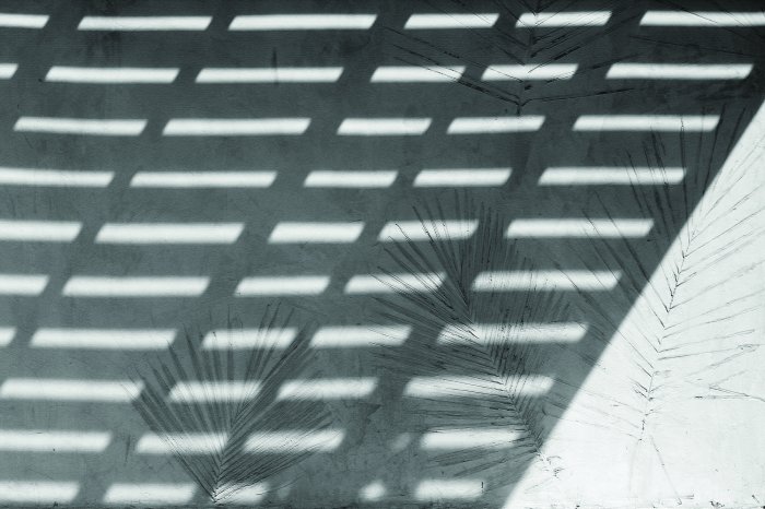 Fototapete Zarte Spiegelung von Palmen an der Wand mit Schatten