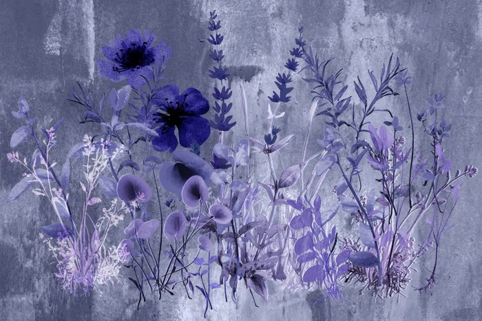 Fototapete Wilde Blumen von der Wiese an der Betonwand