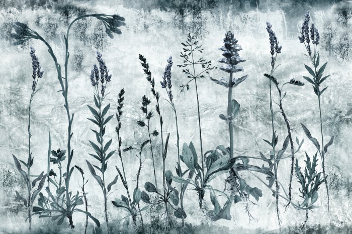 Fototapete Wilde Blumen auf einer Wiese mit Lavendel