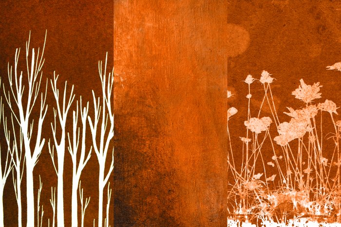 Fototapete Baumzweige in Imitation mit Gräsern