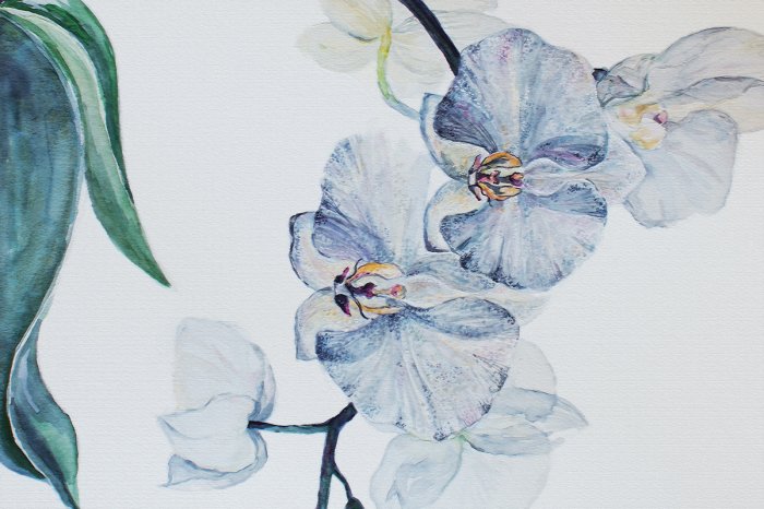 Fototapete Blauer Orchidee mit Blättern