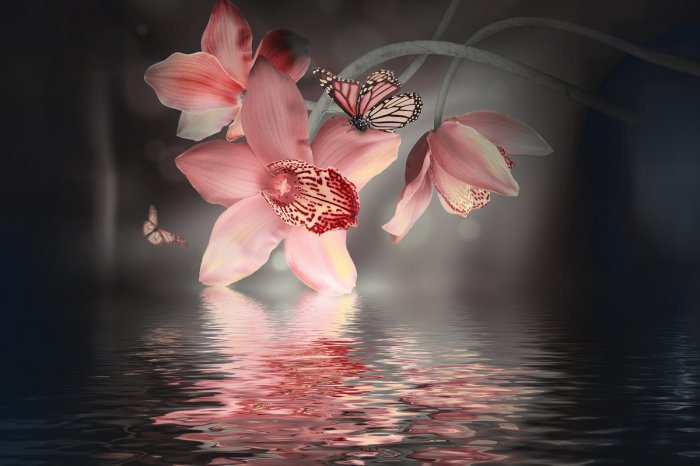 Fototapete Orchidee mit einem Schmetterling vor Wasserhintergrund