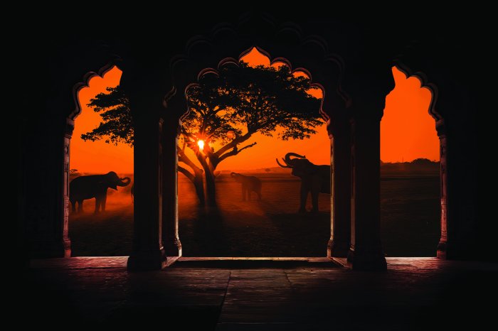 Fototapete Blick auf Bögen vor dem Hintergrund Afrikas mit Elefanten