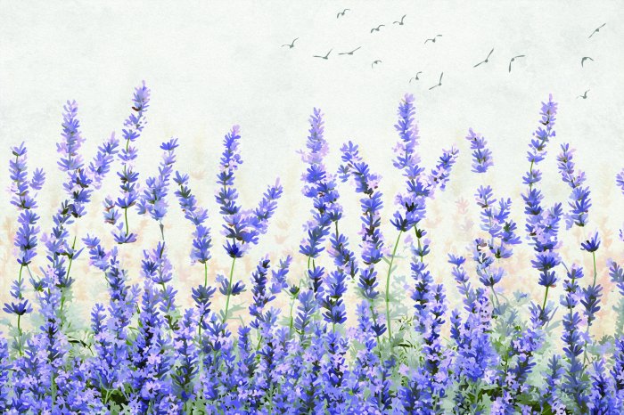 Fototapete Lavendelblüten vor Vogelhintergrund