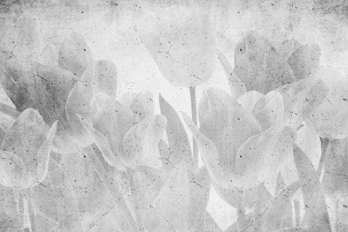 Fototapete Graue Tulpenarrangement auf Beton