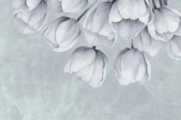 Fototapete Hängende Tulpen an einer Betonwand