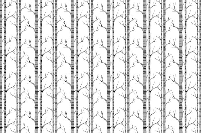 Fototapete Birken minimalistisches Muster inspiriert von der Natur