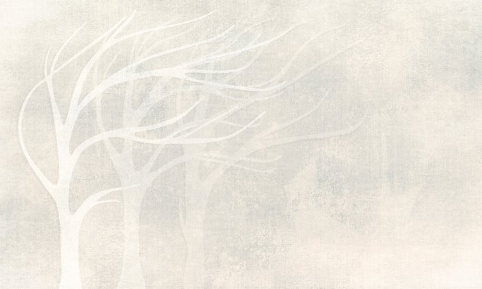 Fototapete Zarte Bäume mit Betonstruktur