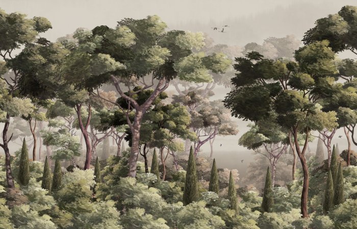 Fototapete Natürliche Landschaft mit Bäumen und sanftem Nebel