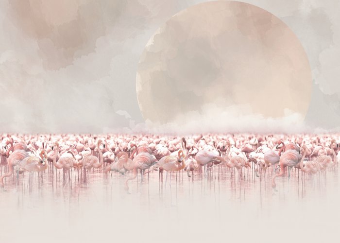 Fototapete Aquarelllandschaft mit Flamingos im Wasser und dem Mond