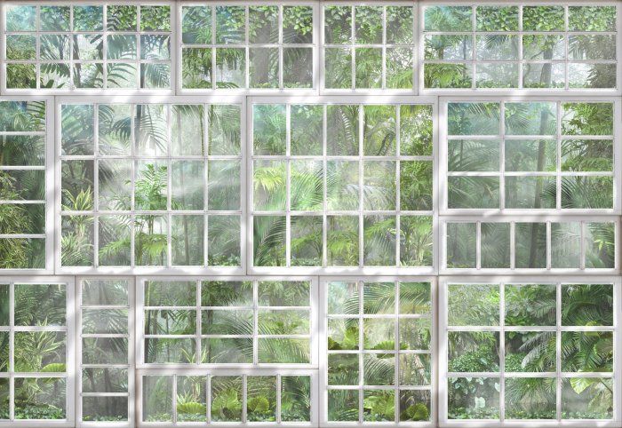 Fototapete 3D-Blick auf einen tropischen Dschungel durch ein Fenster