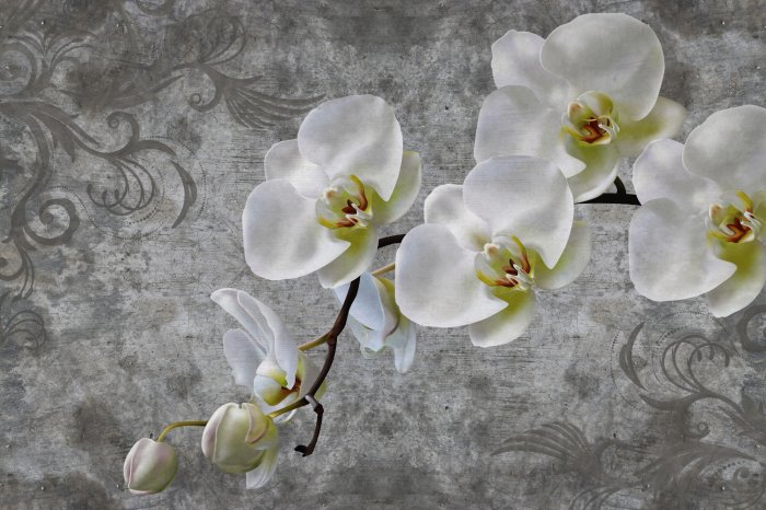Fototapete Weiße Orchideenblume auf Beton