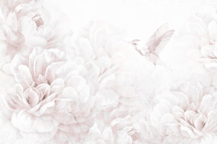 Fototapete Kolibri Zwischen Pastell-Pfingstrosenblumen