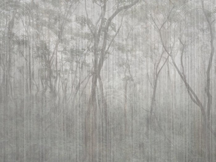 Fototapete Nebliger Landschaft mit Bäumen im Park