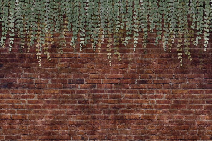 Fototapete Hängende grüne Pflanzen vor einer Ziegelmauer