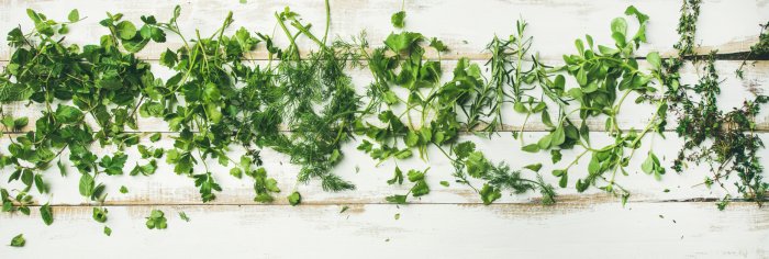 Fototapete Fresh herbs on whitewashed boards