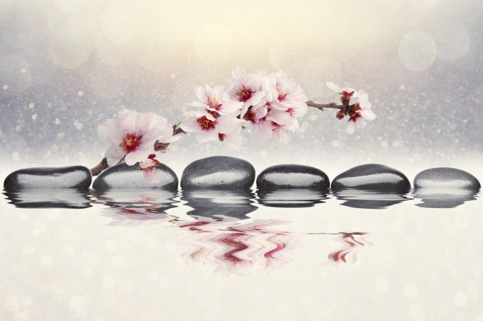 Fototapete Rosa Orchidee und Zen-Steine spiegeln sich im Wasser