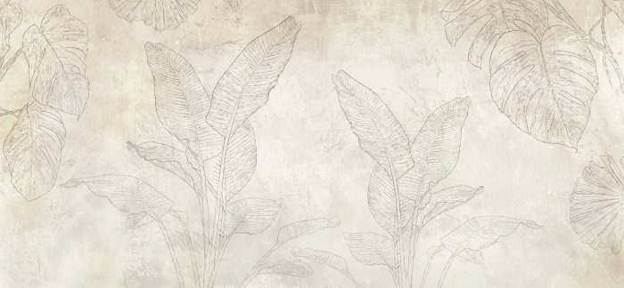 Fototapete Zarte Bananen- und Monstera-Blätter im Skizzenstil auf Betonhintergrund