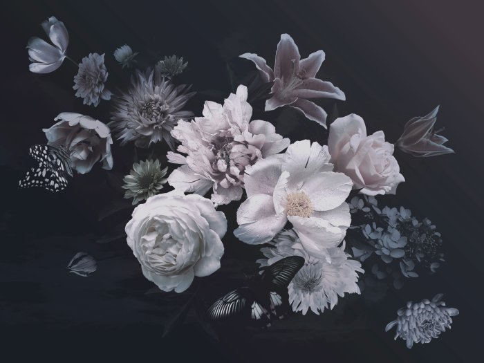 Fototapete Blumen und Schmetterlinge auf dunklem Hintergrund