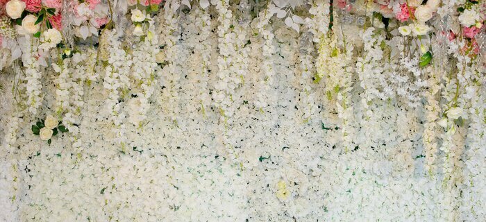 Fototapete Wand mit weißen Blumen