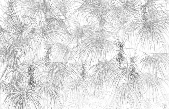 Fototapete Palmen mit grauen tropischen Blättern auf weißem Hintergrund