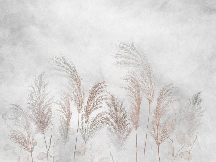 Fototapete Gräser und Eukalyptusblätter auf Betonhintergrund