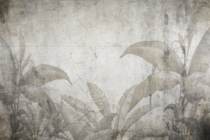 Fototapete Tropische Pflanzenblätter auf Betonhintergrund