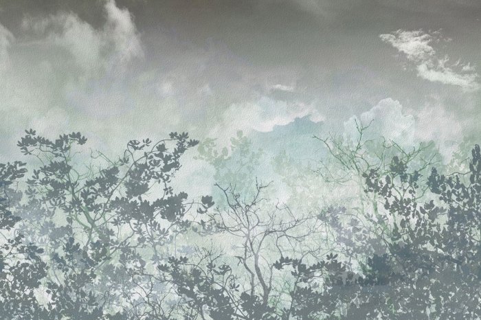 Fototapete Baum-Silhouetten auf einem Aquarell-Hintergrund