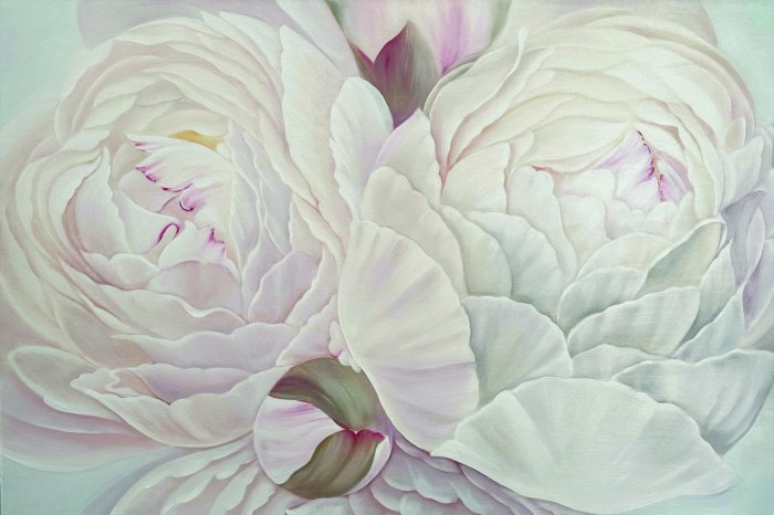 Fototapete Pfingstrosenblumen in zarten Rosatönen