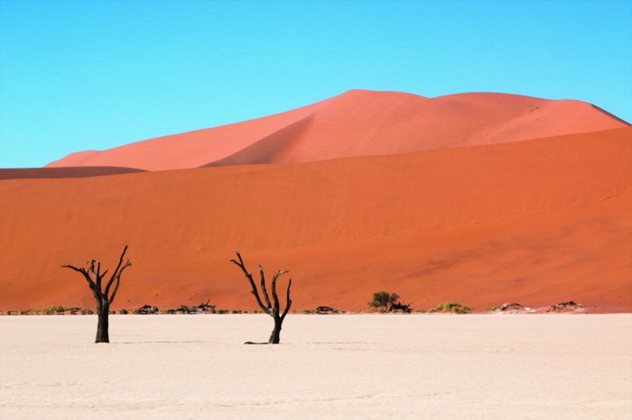 Fototapete Wüstenbäume vor dem Hintergrund von Hügeln