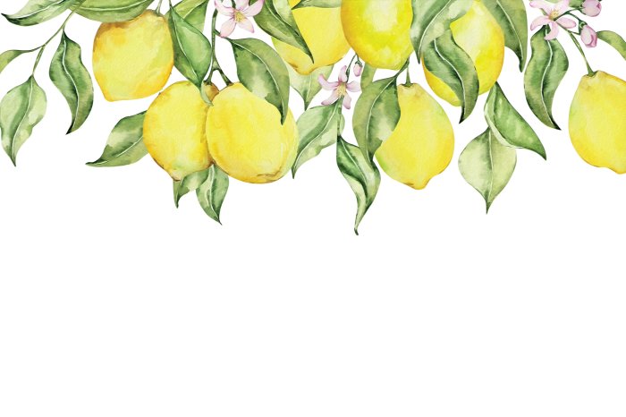 Fototapete Bemalte Zitronen zwischen Blättern und Blumen