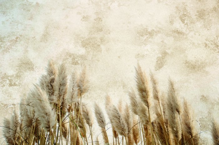 Fototapete Herbstgräser an einer beigen Wand
