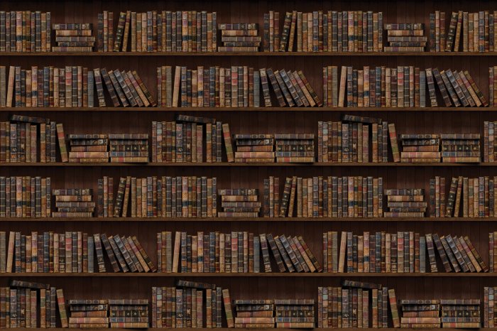 Fototapete Bücherregale in der Bibliothek