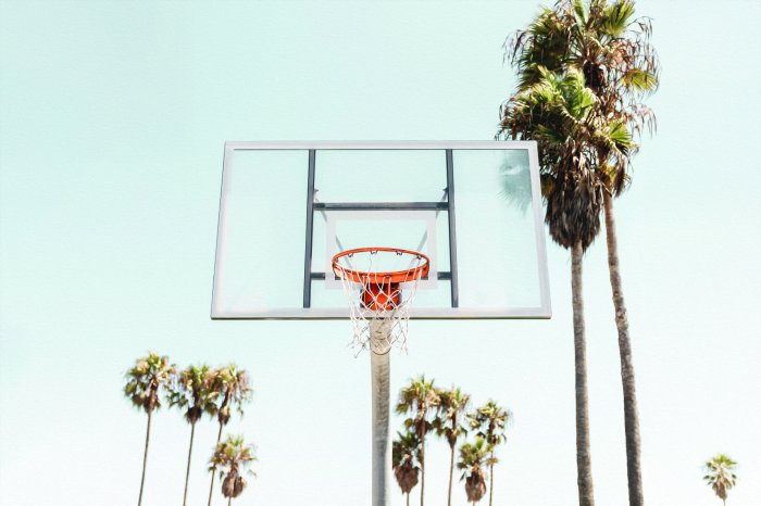 Fototapete Basketballkorb vor Palmenhintergrund