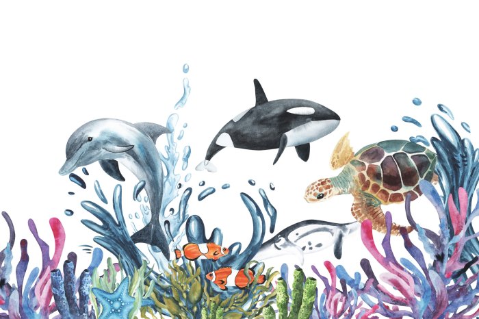 Fototapete Delfin und Wasserschildkröte zwischen dem Riff auf weißem Hintergrund