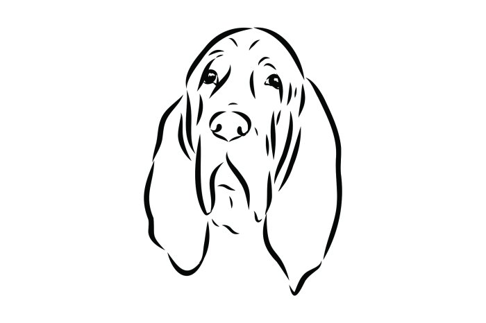 Fototapete Schwarz-weiß-Zeichnung eines Hundes