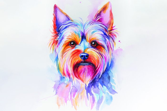 Fototapete Bunte Aquarelle eines Yorkshire Terrier Hundes