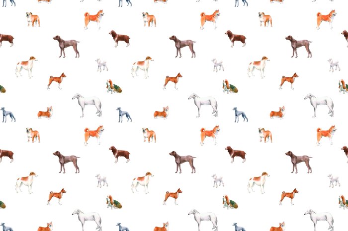 Fototapete Verschiedene Rassehunde auf weißem Hintergrund