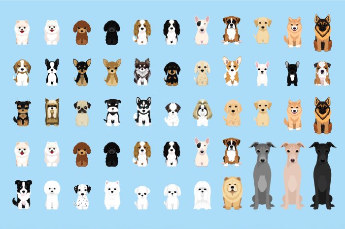 Fototapete Rassehunde auf blauem Hintergrund