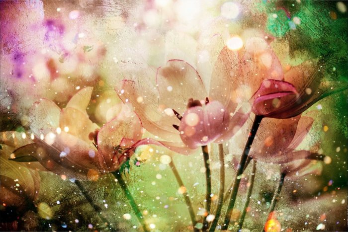 Fototapete Tulpen in einer modernen Version