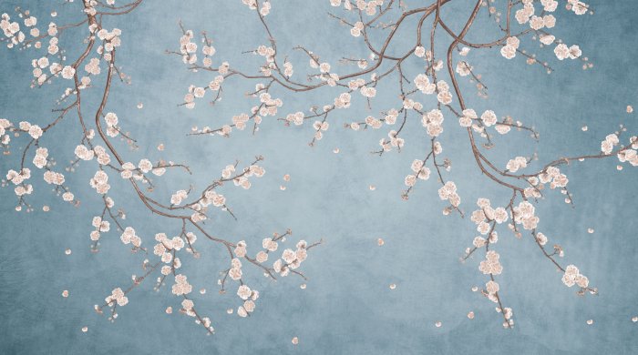 Fototapete White cherry blossoms on branches